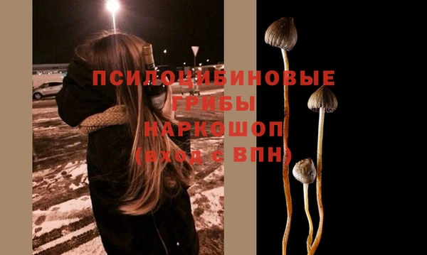 мяу мяу мука Михайлов