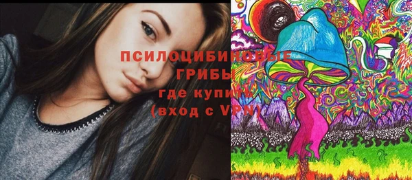 ешки Михайловск
