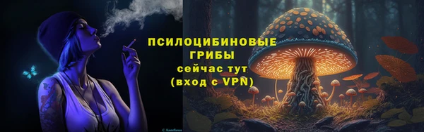 ешки Михайловск