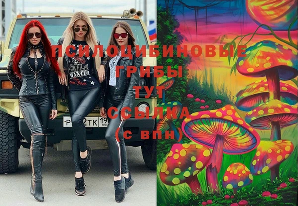 мяу мяу мука Михайлов