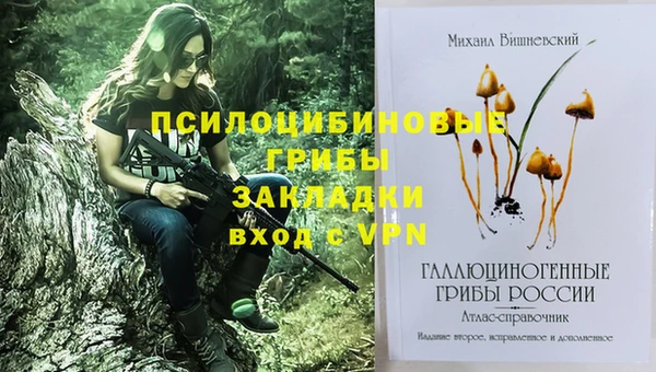 мяу мяу мука Михайлов