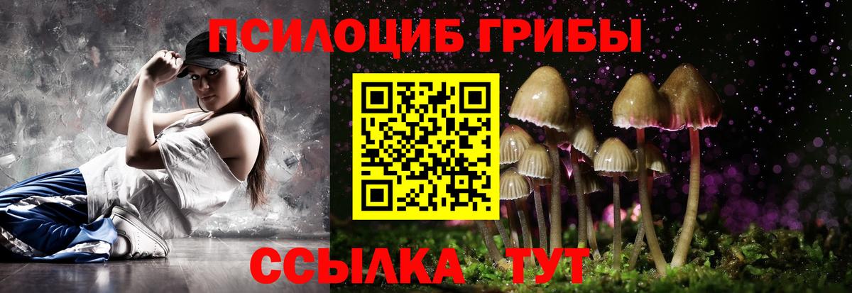 Псилоцибиновые грибы прущие грибы  Вход с VPN  Галлюциногенные грибы Psilocybe  Хасавюрт 