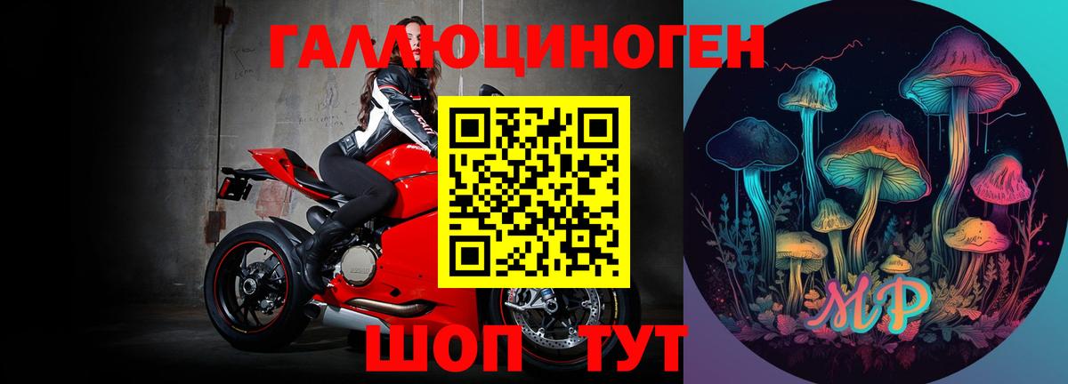 Псилоцибиновые грибы ЛСД Хасавюрт